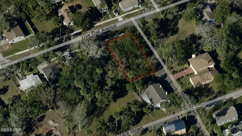 547 Live Oak Avenue Daytona Beach, FL 32114