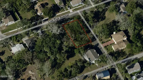 547 Live Oak Avenue