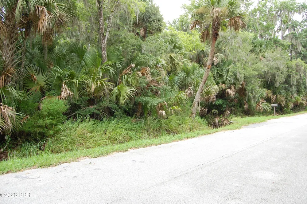 Palm Drive New Smyrna Beach, FL 32168