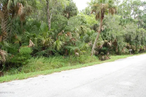 Palm Drive