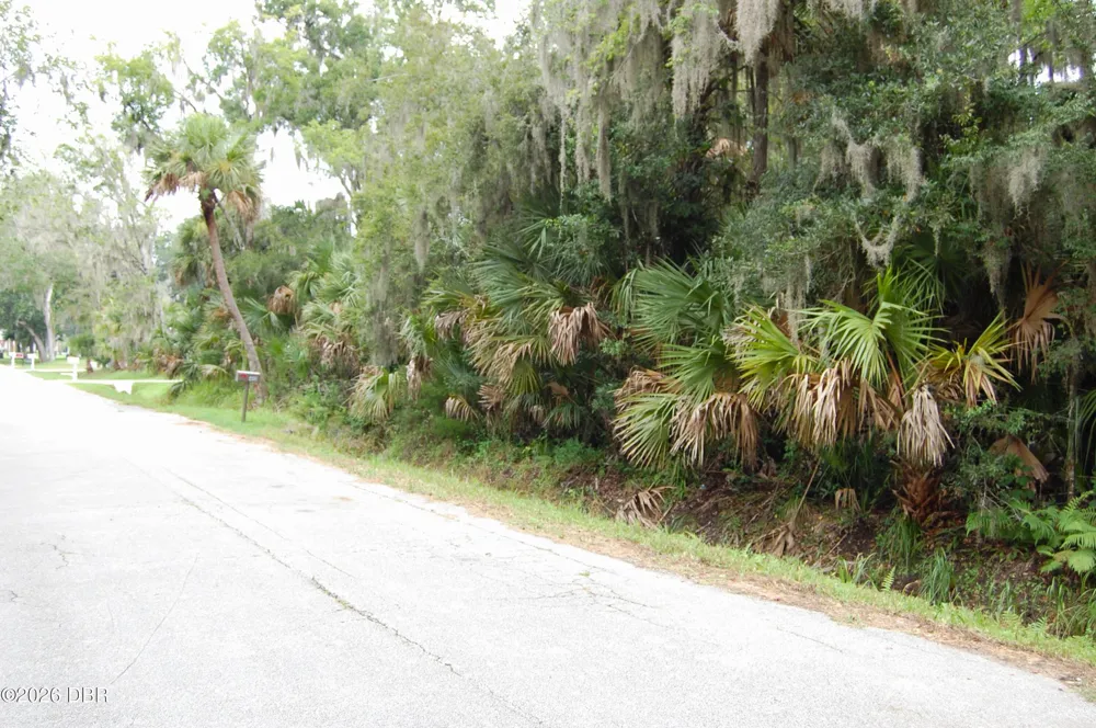 Palm Drive New Smyrna Beach, FL 32168