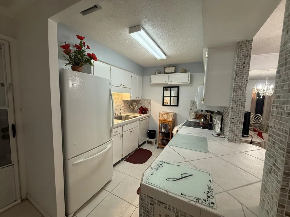 125 PICARDY VILLA CIRCLE #101 Brandon, FL 33510