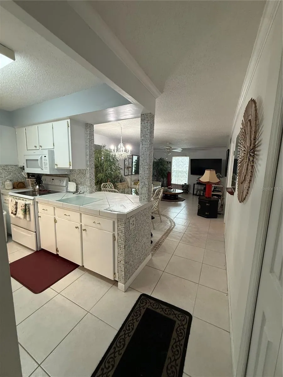 125 PICARDY VILLA CIRCLE #101 Brandon, FL 33510