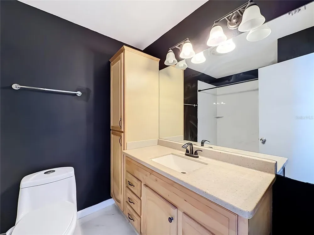 2041 SHADOW PINE DRIVE Brandon, FL 33511