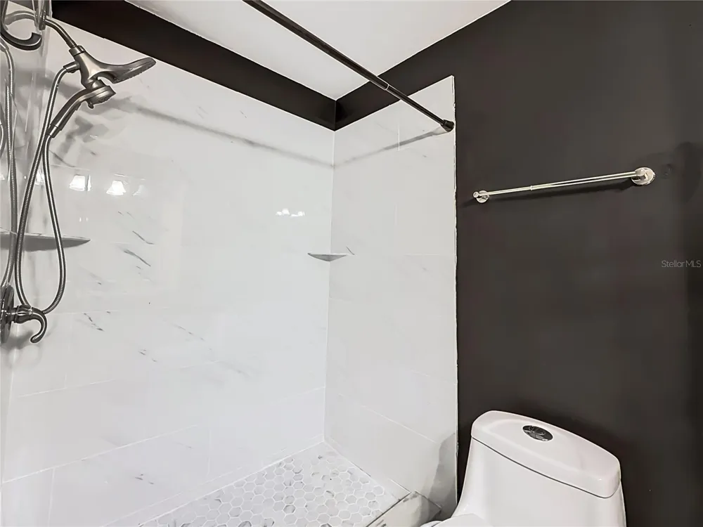 2041 SHADOW PINE DRIVE Brandon, FL 33511