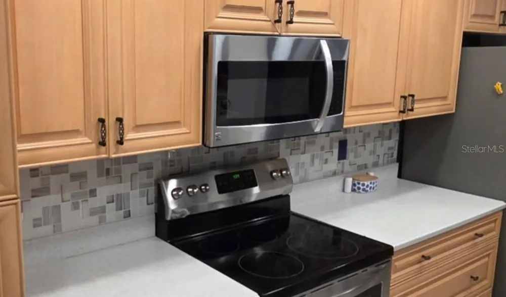 2041 SHADOW PINE DRIVE Brandon, FL 33511