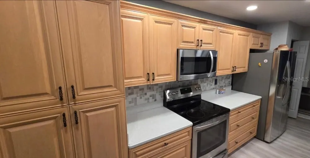2041 SHADOW PINE DRIVE Brandon, FL 33511
