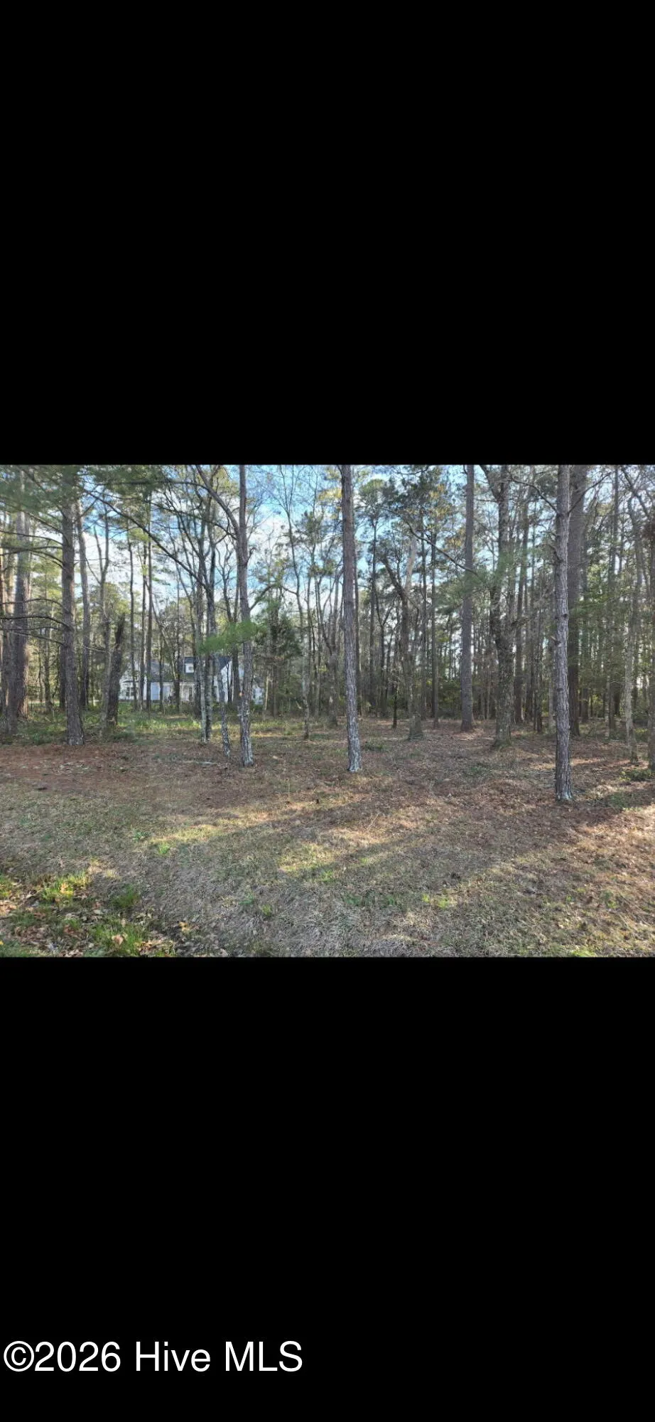 201 Long Creek Drive Havelock, NC 28532