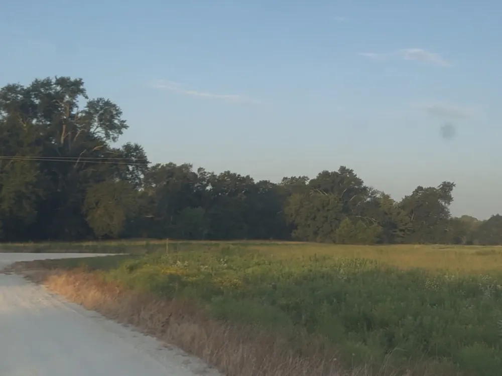 FM 1451 #Tract 37 Teague, TX 75860