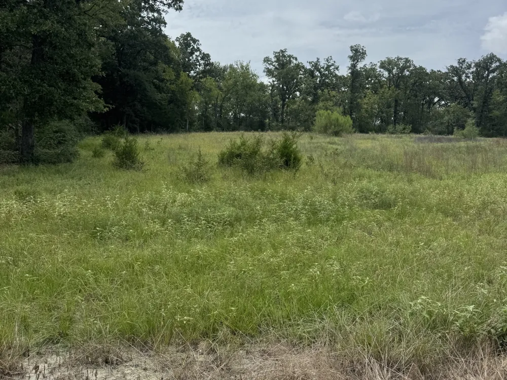FM 1451 #Tract 37 Teague, TX 75860