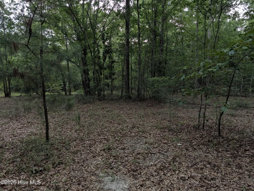 285 Garvin Drive Wagener, SC 29164