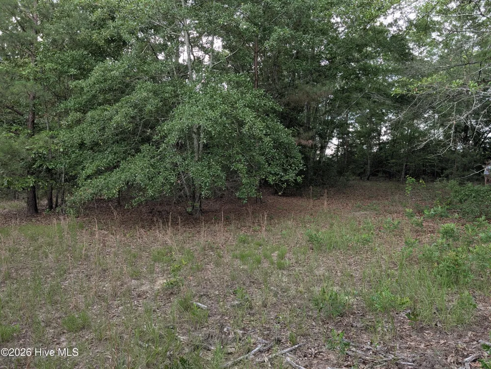 285 Garvin Drive Wagener, SC 29164