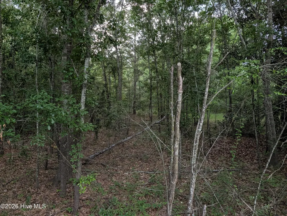 285 Garvin Drive Wagener, SC 29164