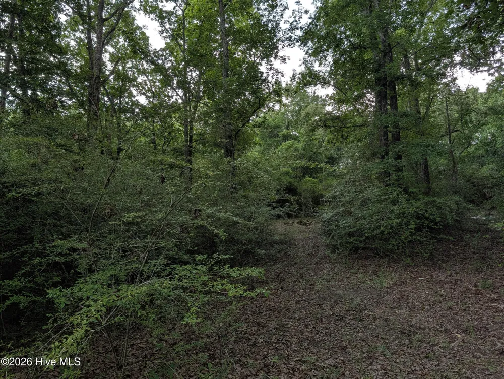 285 Garvin Drive Wagener, SC 29164
