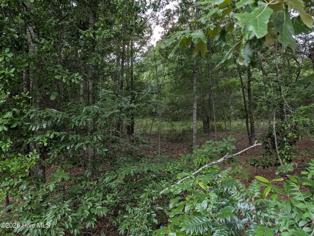 285 Garvin Drive Wagener, SC 29164