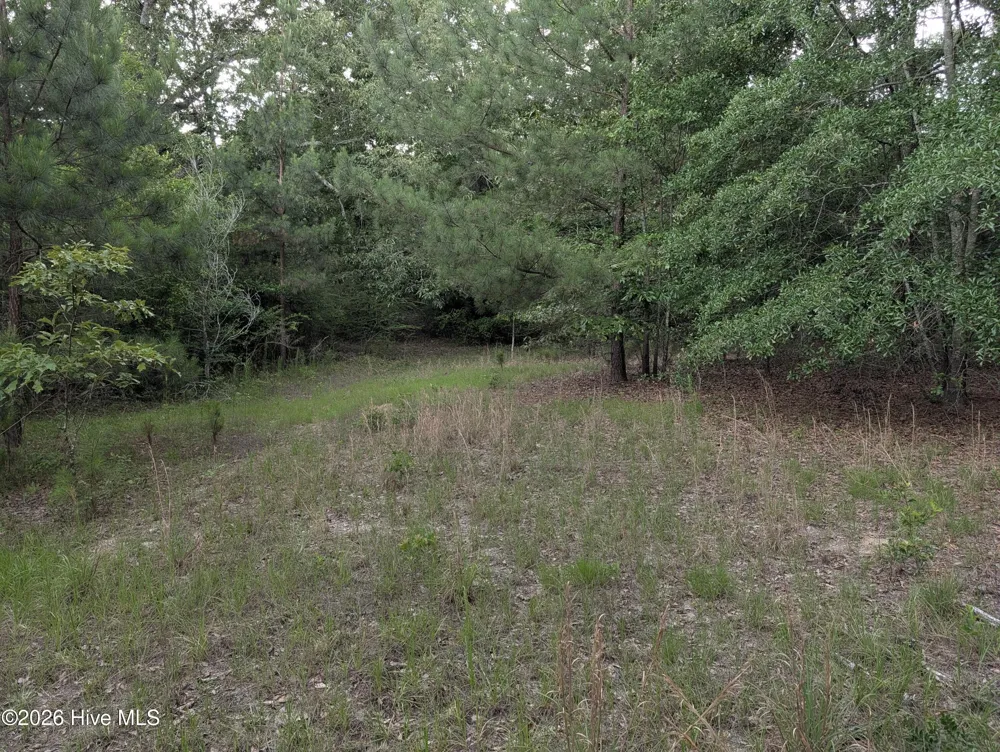 285 Garvin Drive Wagener, SC 29164