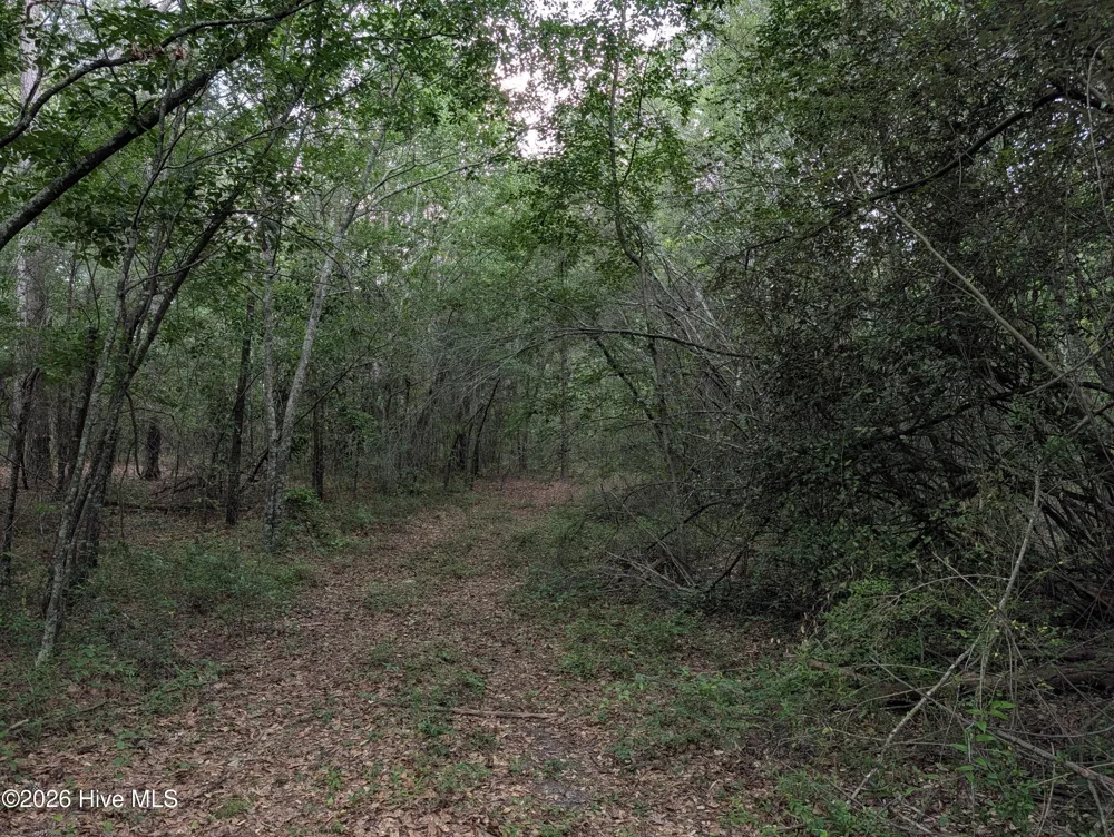 285 Garvin Drive Wagener, SC 29164
