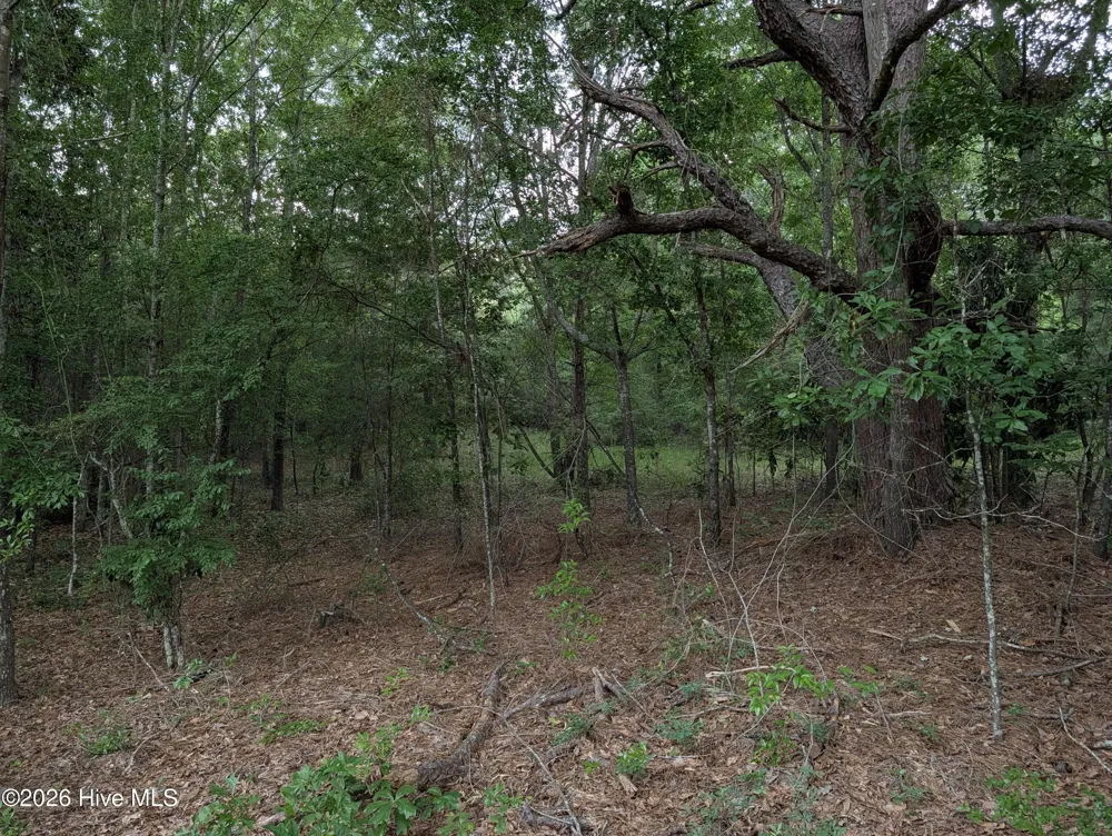 285 Garvin Drive Wagener, SC 29164