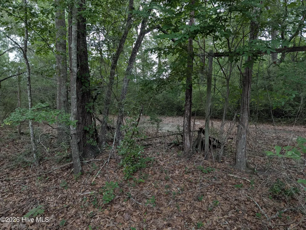 285 Garvin Drive Wagener, SC 29164