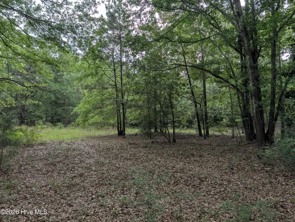 285 Garvin Drive Wagener, SC 29164