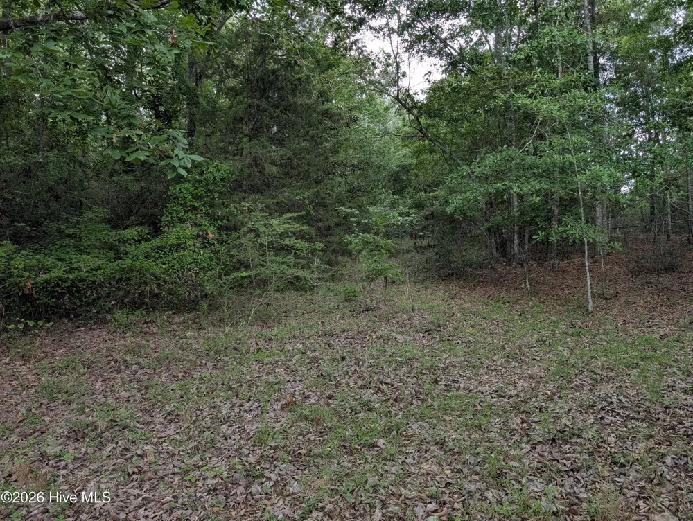 285 Garvin Drive Wagener, SC 29164