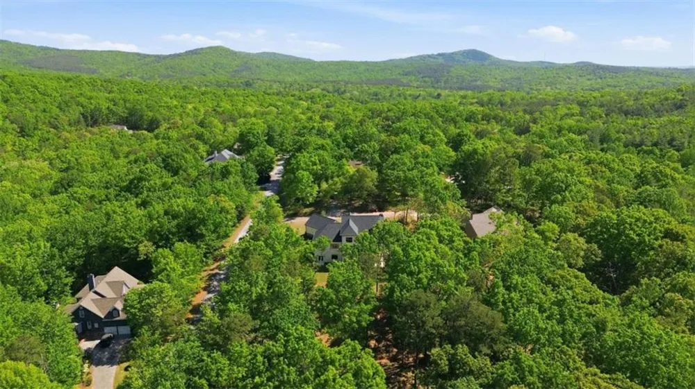 110 Fall Pippin Court Clarkesville, GA 30523