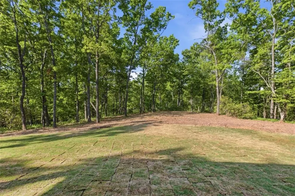 110 Fall Pippin Court Clarkesville, GA 30523