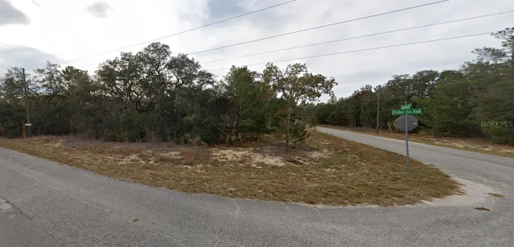 FISHER WAY DRIVE Ocklawaha, FL 32179