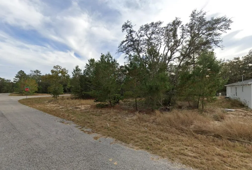 FISHER WAY DRIVE Ocklawaha, FL 32179