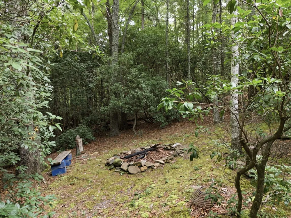 Chatto Loop Road Murphy, NC 28906