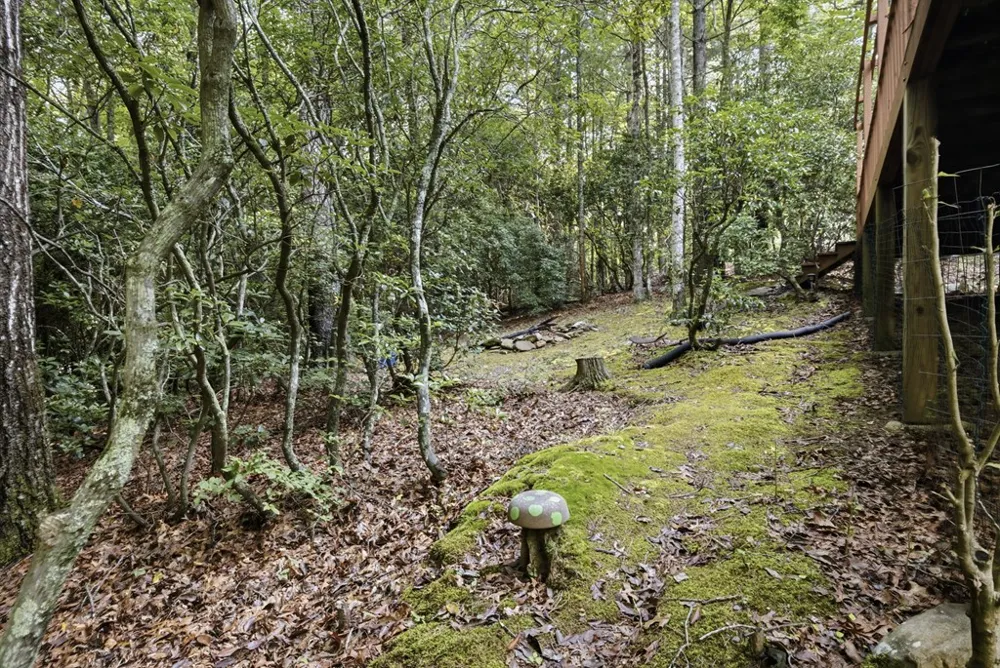 Chatto Loop Road Murphy, NC 28906