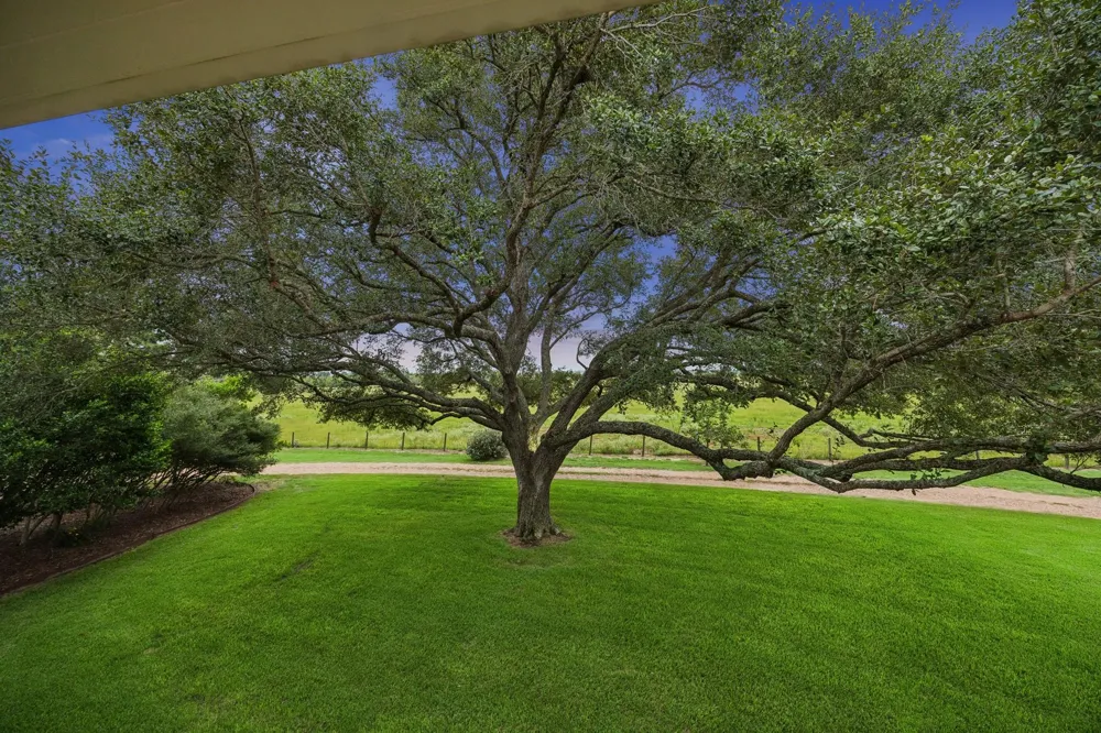 11182 Fm 1094 Road Cat Spring, TX 78933