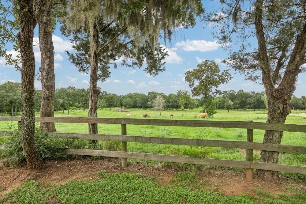 11182 Fm 1094 Road Cat Spring, TX 78933
