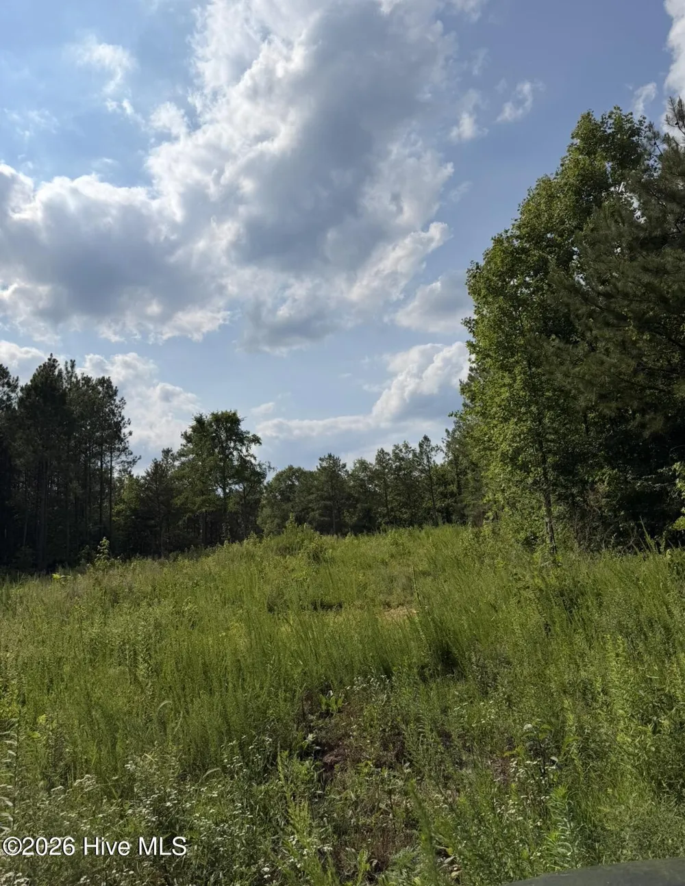 3 Beamon Hunt Road Warrenton, NC 27589