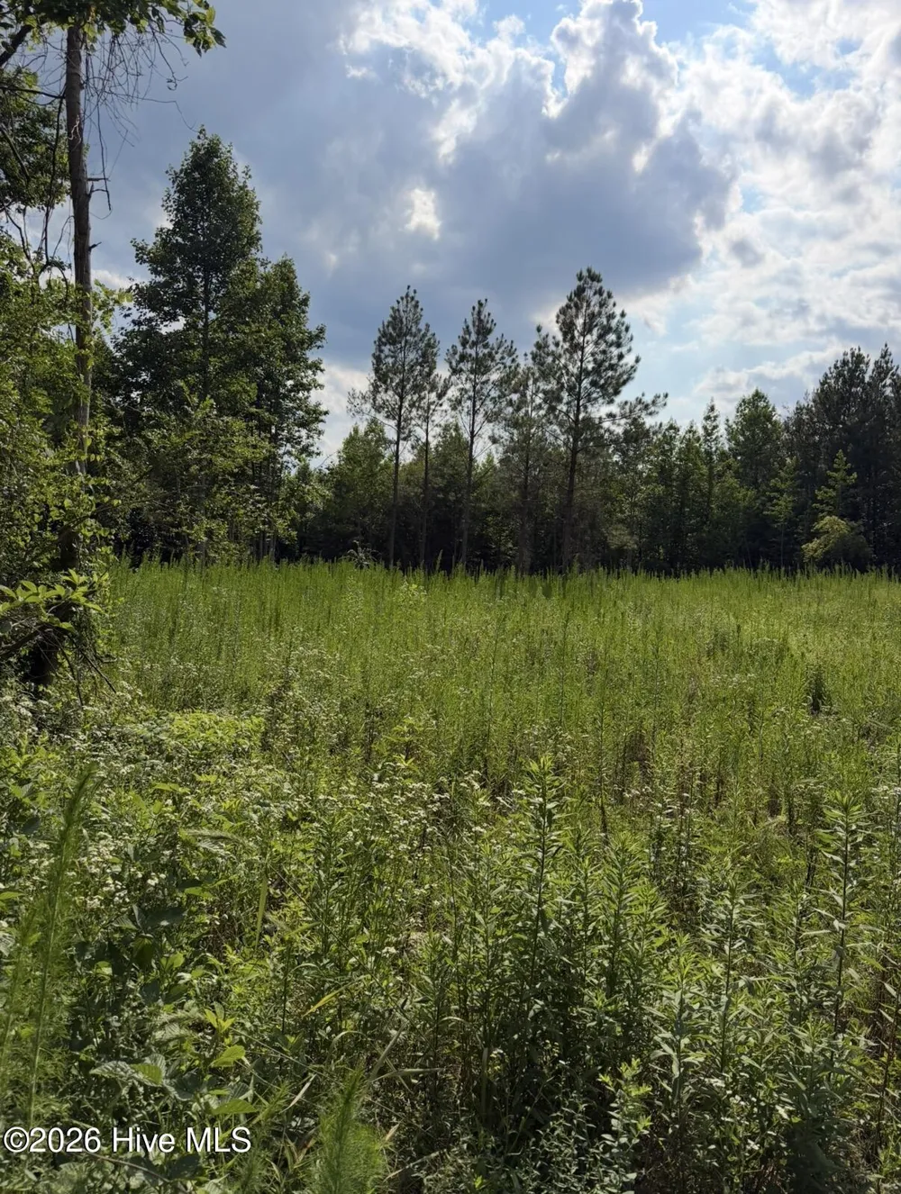 3 Beamon Hunt Road Warrenton, NC 27589