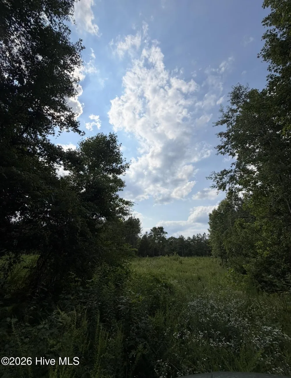 3 Beamon Hunt Road Warrenton, NC 27589