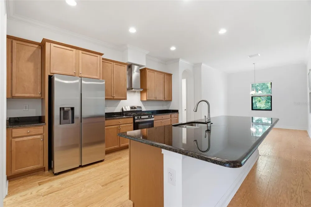 3908 GAVIOTA DRIVE Sun City Center, FL 33573