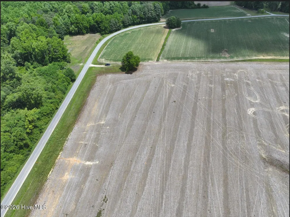 0 Rabbit Hollow Road Snow Hill, NC 28580