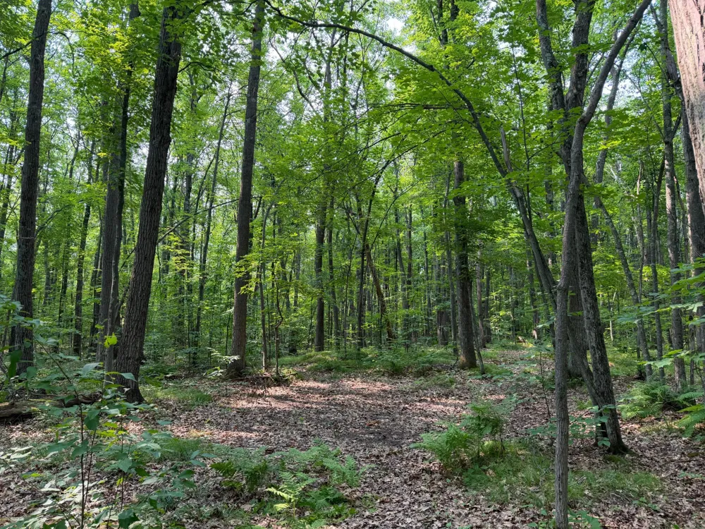 50738 Sand Creek Road Bruno, MN 55712