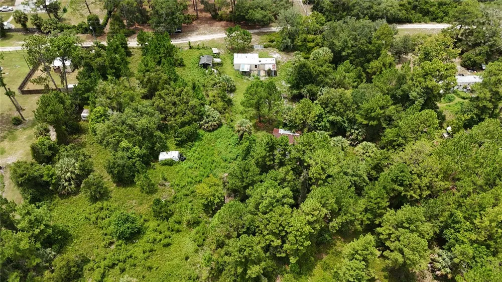 40546 COUGARS COVE Leesburg, FL 34788