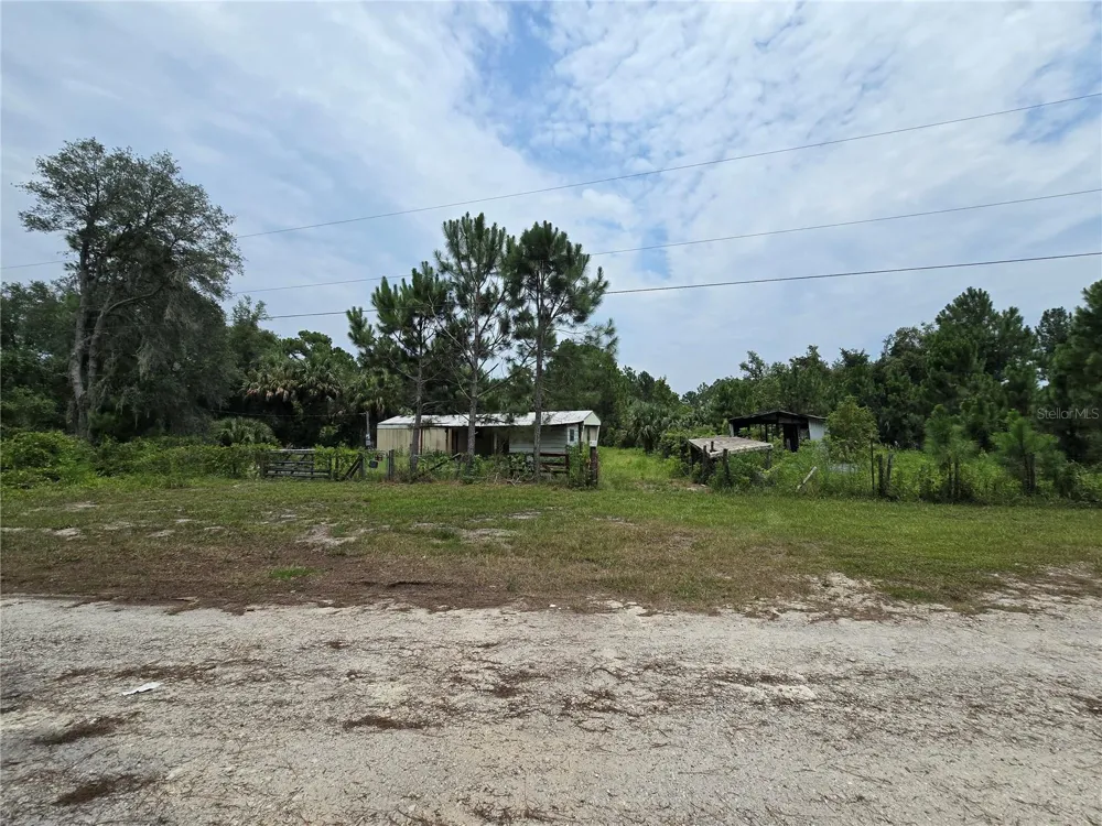 40546 COUGARS COVE Leesburg, FL 34788