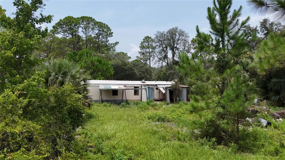 40546 COUGARS COVE Leesburg, FL 34788