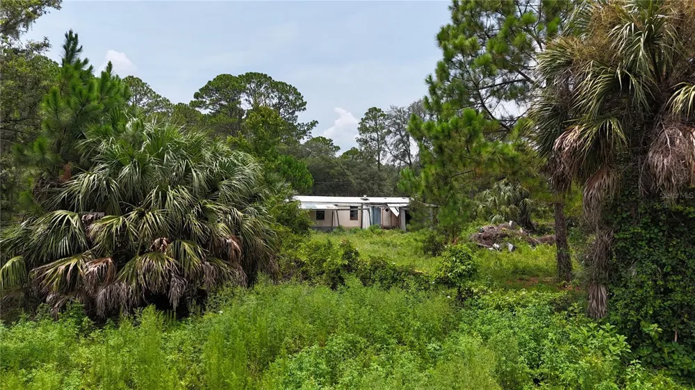 40546 COUGARS COVE Leesburg, FL 34788