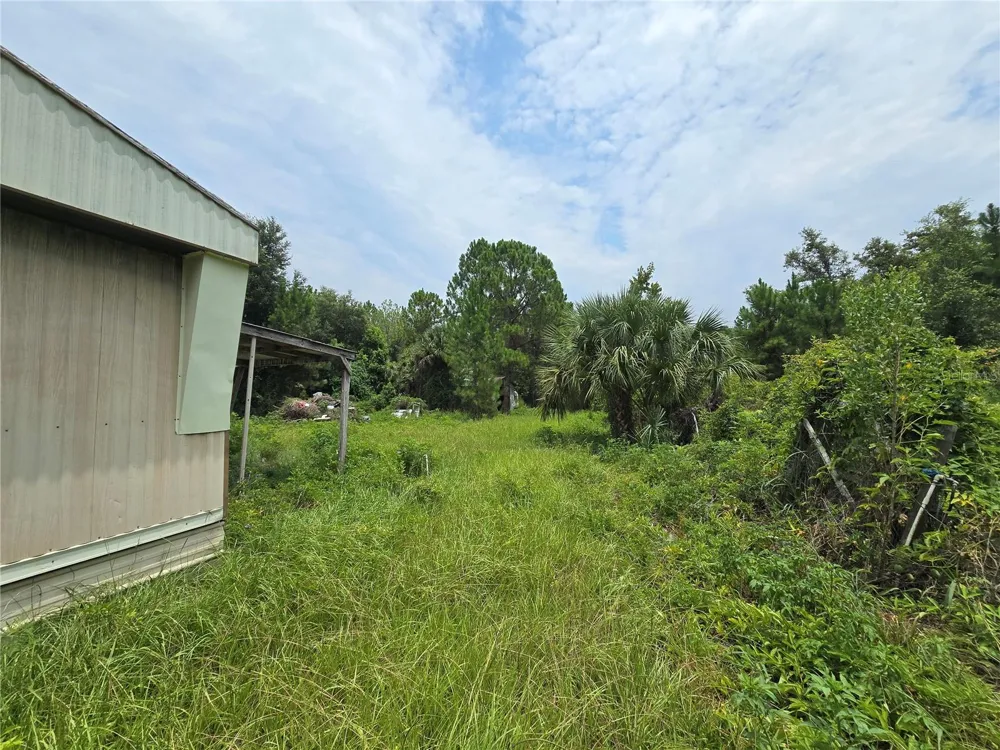 40546 COUGARS COVE Leesburg, FL 34788