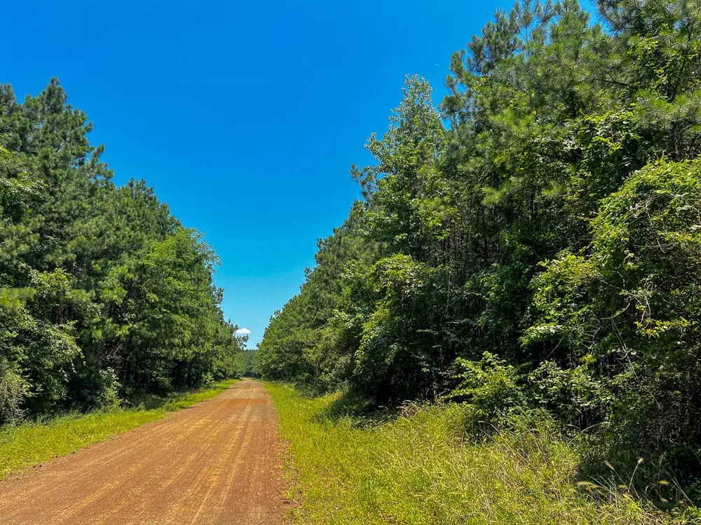 8 Bayou Road Milam, TX 75948