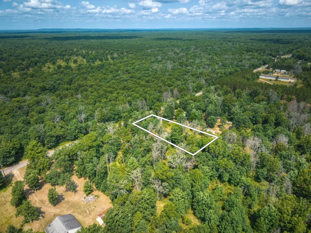 10130 Brooks Road Irons, MI 49644
