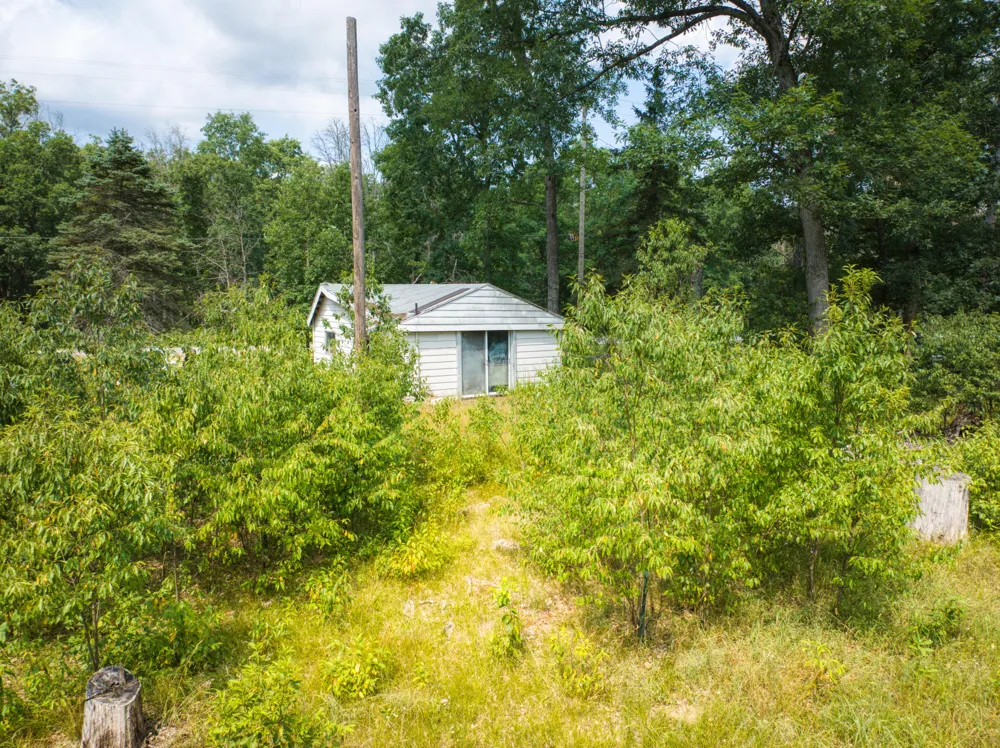 10130 Brooks Road Irons, MI 49644