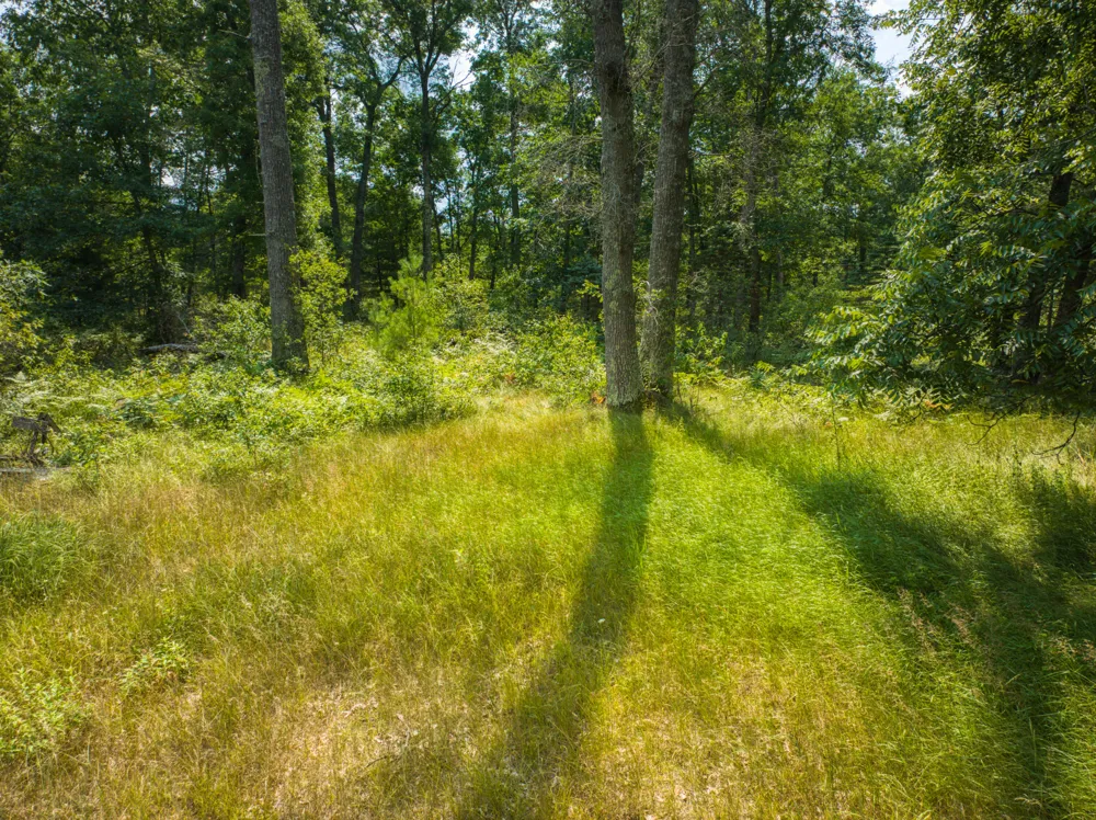10130 Brooks Road Irons, MI 49644
