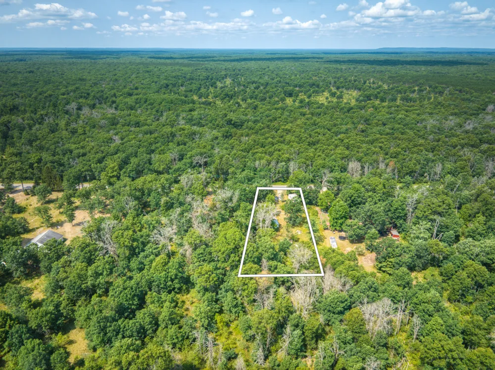 10130 Brooks Road Irons, MI 49644