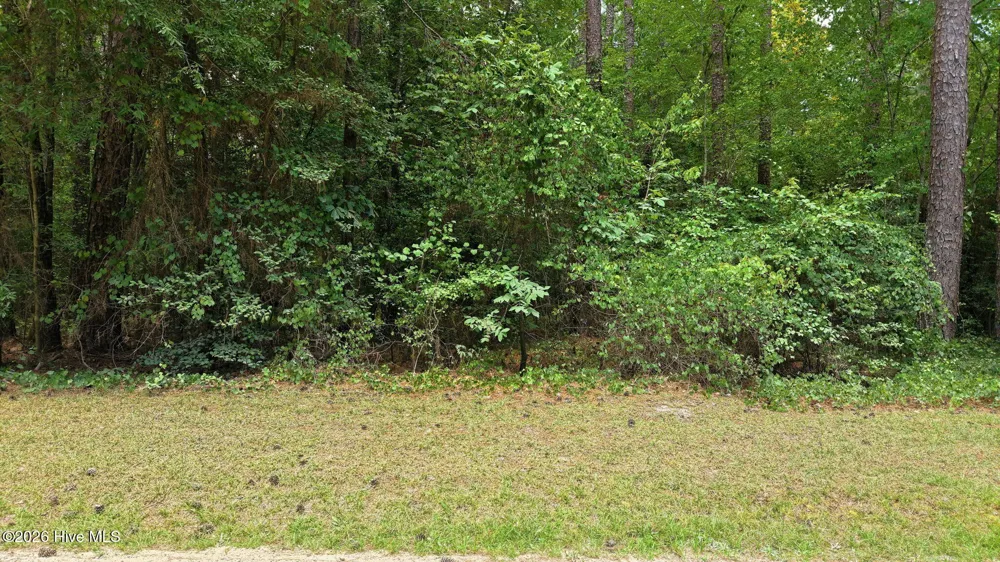 109 Equestrian Lane Carthage, NC 28327